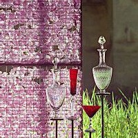 | JARDIN DE CRISTAL, JARDIN EXTRAORDINAIRE