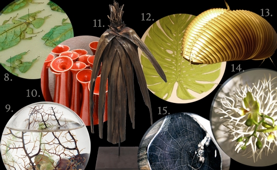 | LA CURIOSITÉ SUR LE THÈME CLASSIQUE