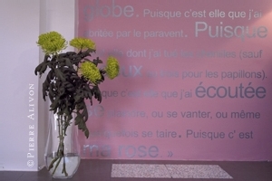 | TONY LEMALE, HOMME D'INTÉRIEUR