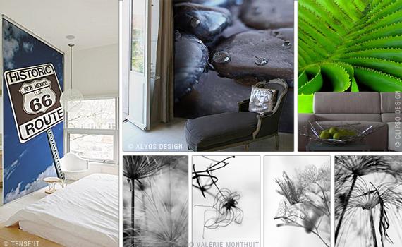 | LES NOUVEAUX TROMPE L'ŒIL !