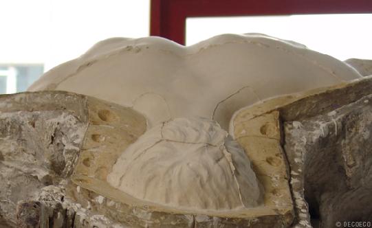 | L'ATELIER DE MOULAGE DE LA RMN, MET L'ART A L'ŒUVRE | L'ATELIER DE MOULAGE DE LA RMN, MET L'ART A L'ŒUVRE