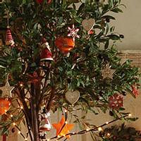 | LES DÉCORATIONS FLEURISSENT AUX ARBRES DE NOËL 