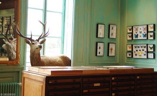 | DEYROLLE, LA MAISON D'HISTOIRES NATURELLES