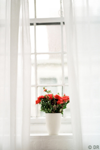 | ÉCOLOGIE ET ÉCONOMIE VUES DE NOTRE FENÊTRE