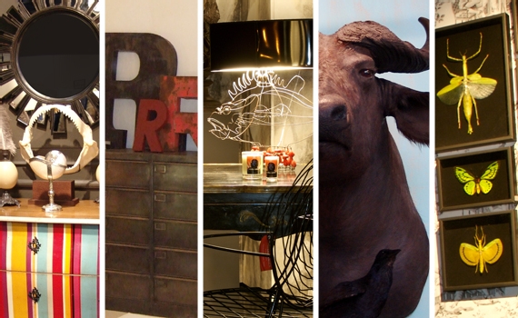 | DOSSIER : LE VOYAGE INTERIEUR DES CABINETS DE CURIOSITES 