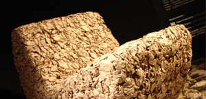 L'ÉCOCONCEPTION, L'AUTRE DÉCORATION POSSIBLE