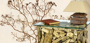 DEUX REGARDS POUR UNE IDENTITÉ HORS DU COMMUN