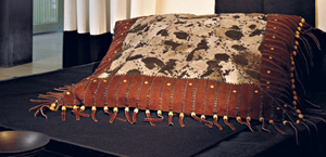 LES NOUVEAUX WESTERNS