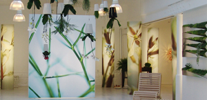 COMPAGNIE ET MOAROOM, LA CULTURE DESIGN