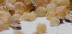 MICHELE GAY, L’EMPIRE DES SENS 