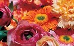 | UNE EXPLOSION DE COULEURS DANS UN BOUQUET