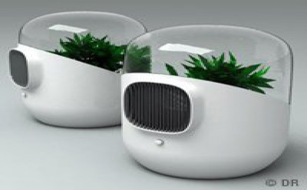 | BEL-AIR, L'ART ET LA SCIENCE NOUS FONT RESPIRER 