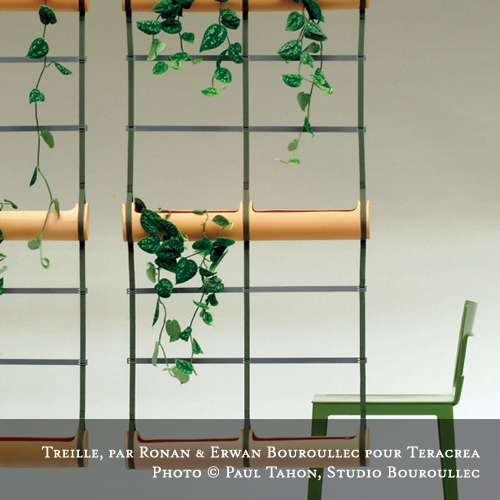 SEPARATION BUCOLIQUE 