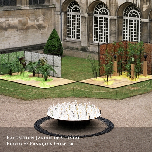 JARDIN DE CRISTAL