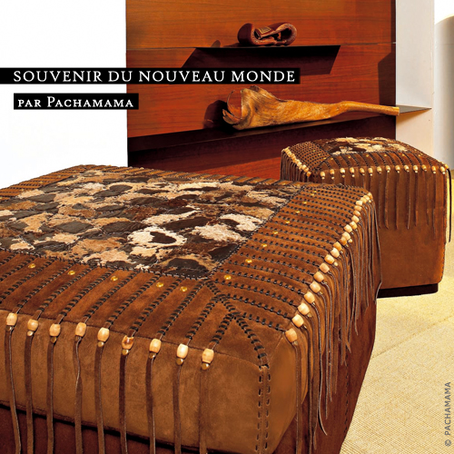 SOUVENIR DU NOUVEAU MONDE