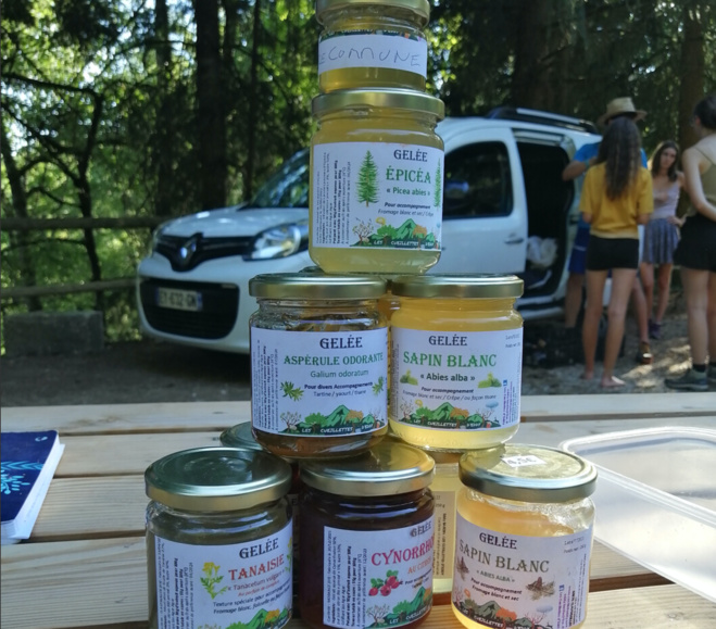 LE SÉJOUR DE REVE : un élan créateur vers la transition écologique LE SÉJOUR DE REVE : un élan créateur vers la transition écologique