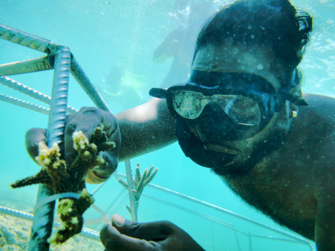 L'Anantara Iko Mauritius Resort & Villas lance une initiative d’écotourisme baptisée « Be Iko » L'Anantara Iko Mauritius Resort & Villas lance une initiative d’écotourisme baptisée « Be Iko »