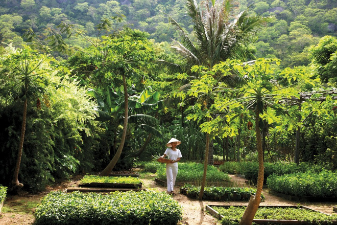 Les hôtels Six Senses certifiés par Control Union, organisme accrédité par le GSTC Les hôtels Six Senses certifiés par Control Union, organisme accrédité par le GSTC