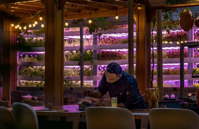 Jumeirah Zabeel Saray présente Arcadia by Amala : Une aventure gastronomique combinant tradition indienne et innovation écoresponsable Jumeirah Zabeel Saray présente Arcadia by Amala : Une aventure gastronomique combinant tradition indienne et innovation écoresponsable