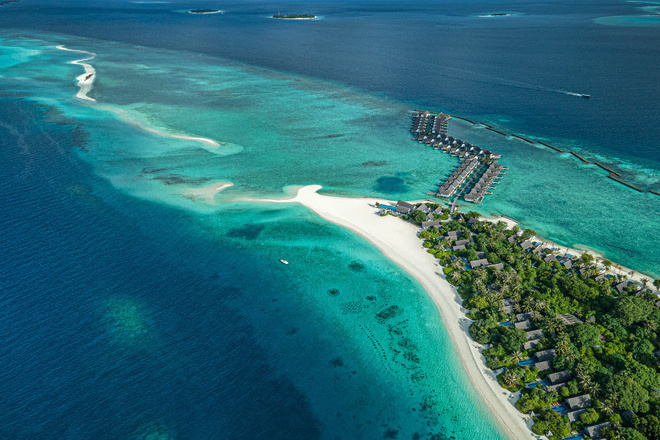 Vivez une expérience rare de plongée aux Maldives avec les Manta Hot Dates 2025 Vivez une expérience rare de plongée aux Maldives avec les Manta Hot Dates 2025
