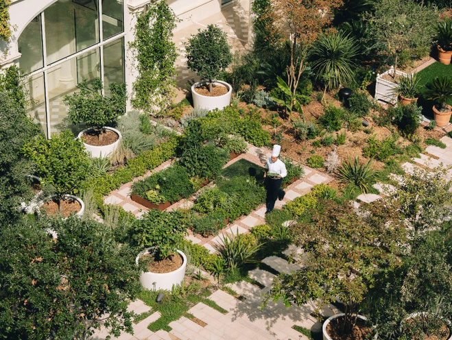 Le Carlton Cannes intensifie son engagement écologique et passe au 100% électricité verte