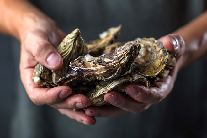 Relais & Châteaux mobilise ses chefs pour préserver la biodiversité marine Relais & Châteaux mobilise ses chefs pour préserver la biodiversité marine