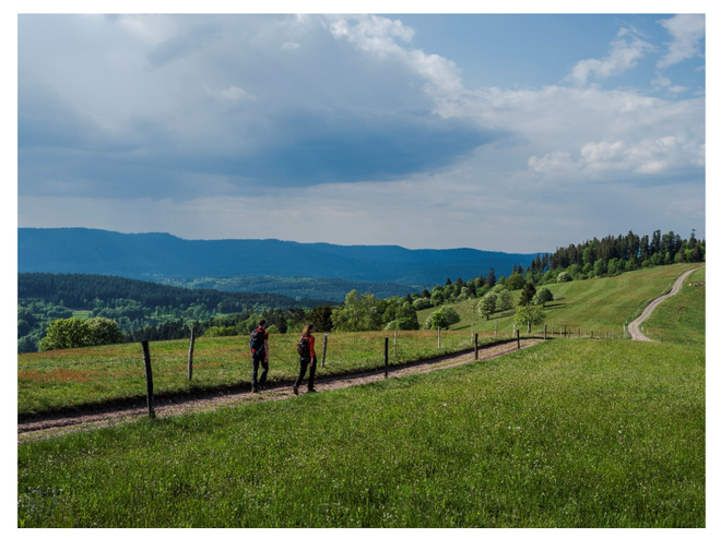 La Vallée de la Bruche : véritable havre de fraîcheur et d'authenticité pour des randonnées estivales La Vallée de la Bruche : véritable havre de fraîcheur et d'authenticité pour des randonnées estivales