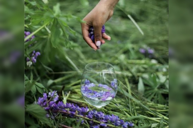 Randonnée druide & mixologie détox au Grand Hôtel du Soleil d'Or Randonnée druide & mixologie détox au Grand Hôtel du Soleil d'Or