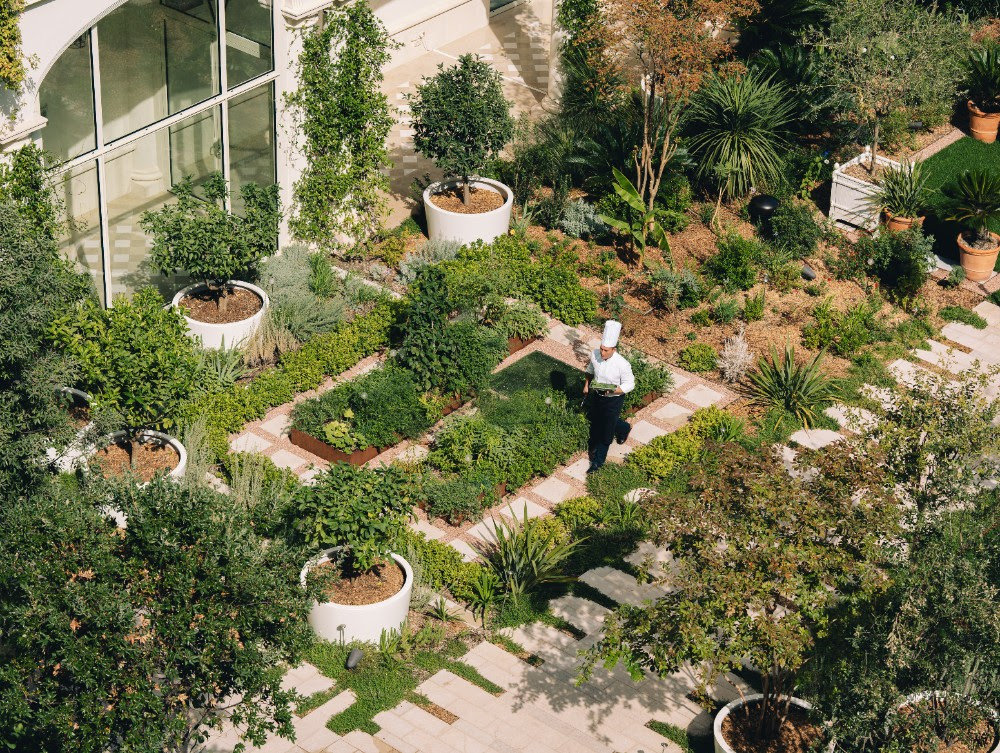 Le Carlton Cannes intensifie son engagement écologique et passe au 100% électricité verte