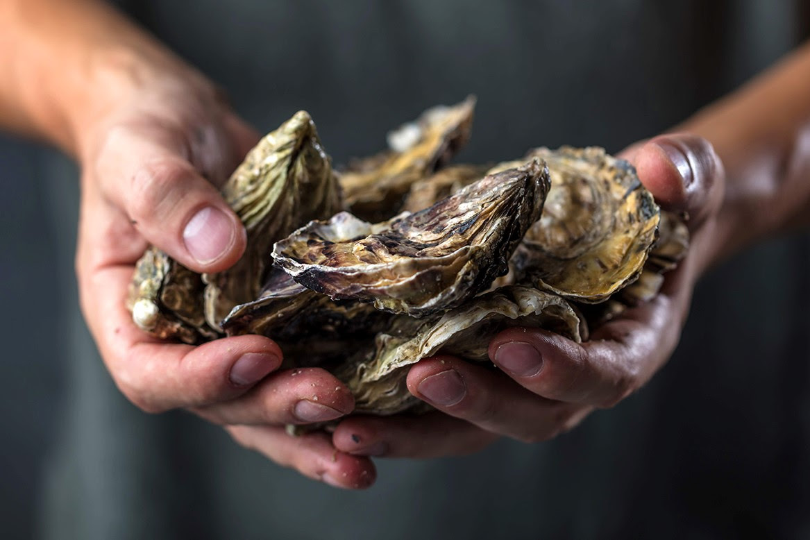Relais & Châteaux mobilise ses chefs pour préserver la biodiversité marine