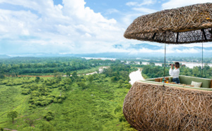 Canopy Tree : un restaurant suspendu dans les arbres à l'Anantara Golden Triangle