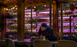 Jumeirah Zabeel Saray présente Arcadia by Amala : Une aventure gastronomique combinant tradition indienne et innovation écoresponsable