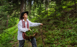 Le Train Bleu fait une halte à Megève avec le Chef Marc Veyrat