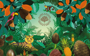 La Collection de Pâques 2025 : les Œufs imaginaires de la Forêt Équatoriale