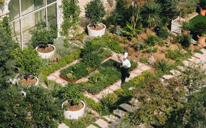 Le Carlton Cannes intensifie son engagement écologique et passe au 100% électricité verte