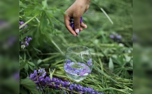 Randonnée druide &amp; mixologie détox au Grand Hôtel du Soleil d'Or