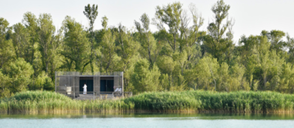 Les cabanes de luxe de Coucoo invitent à la relaxation 