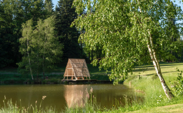 Une expérience gustative unique au milieu des ruches
