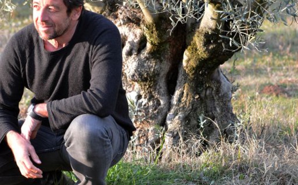 On en parle… de l’Olivier de Leos avec Patrick Bruel