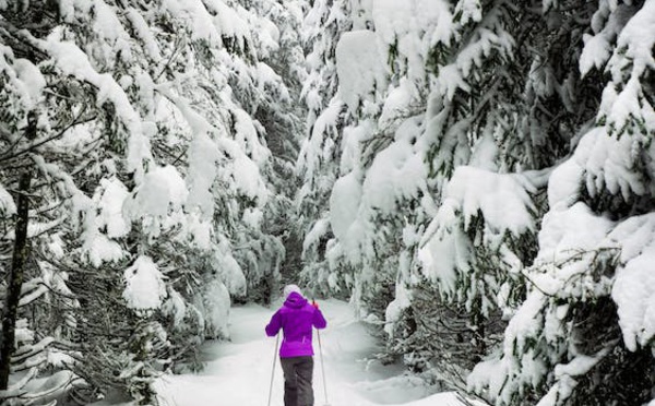 Label flocon Vert : Les bons élèves du ski responsable