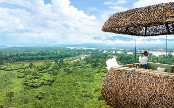 Canopy Tree : un restaurant suspendu dans les arbres à l'Anantara Golden Triangle