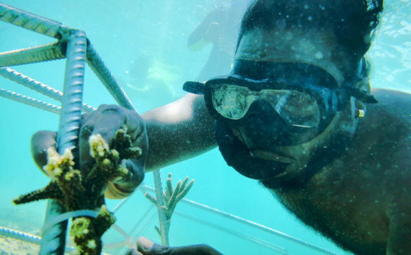 L'Anantara Iko Mauritius Resort &amp; Villas lance une initiative d’écotourisme baptisée « Be Iko »