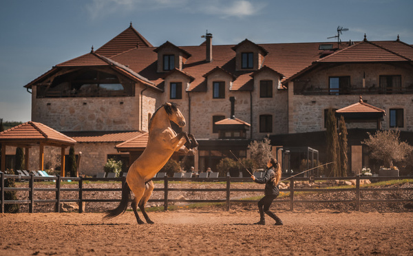 Equicoaching et équithérapie au Domaine de la Klauss : le bien-être par les chevaux