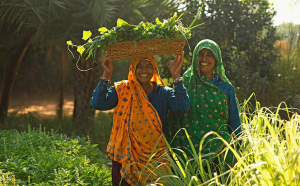 Fidèle à ses convictions écologiques, Relais &amp; Châteaux s’associe à l’UNESCO
