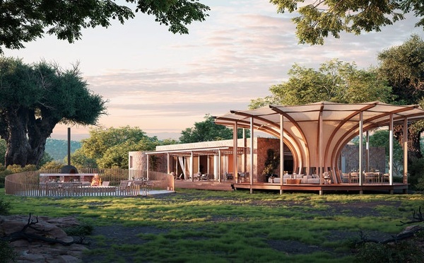 Une nouvelle marque de safari écoresponsable fait ses débuts en Afrique du Sud