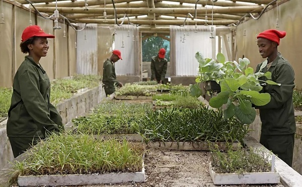 Gagnant du prix mondial du tourisme responsable : la réserve naturelle privée de Grootbos, Afrique du Sud