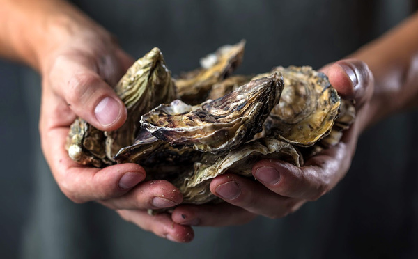 Relais &amp; Châteaux mobilise ses chefs pour préserver la biodiversité marine