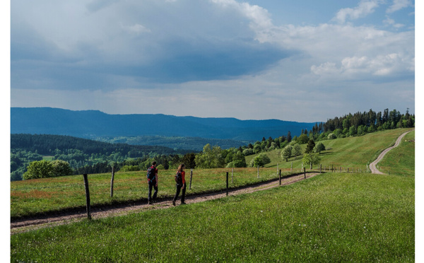 La Vallée de la Bruche : véritable havre de fraîcheur et d'authenticité pour des randonnées estivales