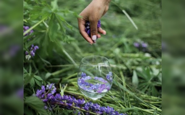 Randonnée druide &amp; mixologie détox au Grand Hôtel du Soleil d'Or