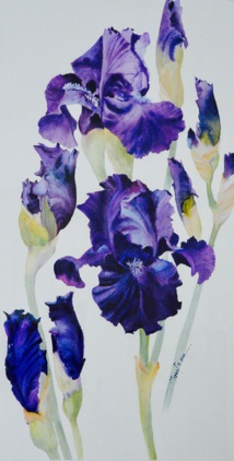 Exposition de peintures et sculptures du 16 novembre au 15 décembre Exposition de peintures et sculptures du 16 novembre au 15 décembre